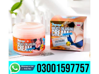 Meizao Papaya Breast Enlarging Cream In Karachi - 03001597757