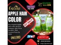 apple-hair-color-price-in-sialkotpakistan-03001819306-small-1