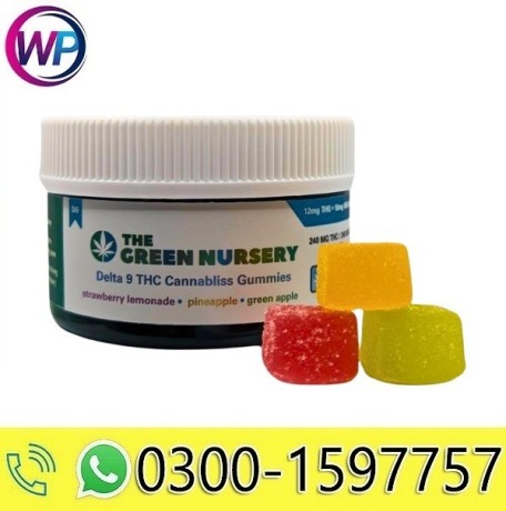 delta-9-cbd-cannabliss-gummies-12mg-thc-each-by-the-green-nursery-in-rawalpindi-03001597757-big-0