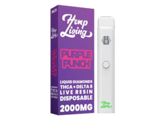 Purple Punch Vape Pen In Pakistan-03001597100