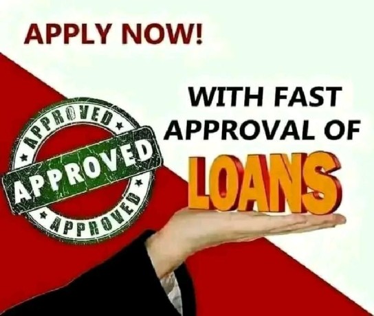 business-loan-apply-no-collateral-needed-big-0